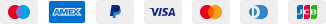 Payment Cards Footer